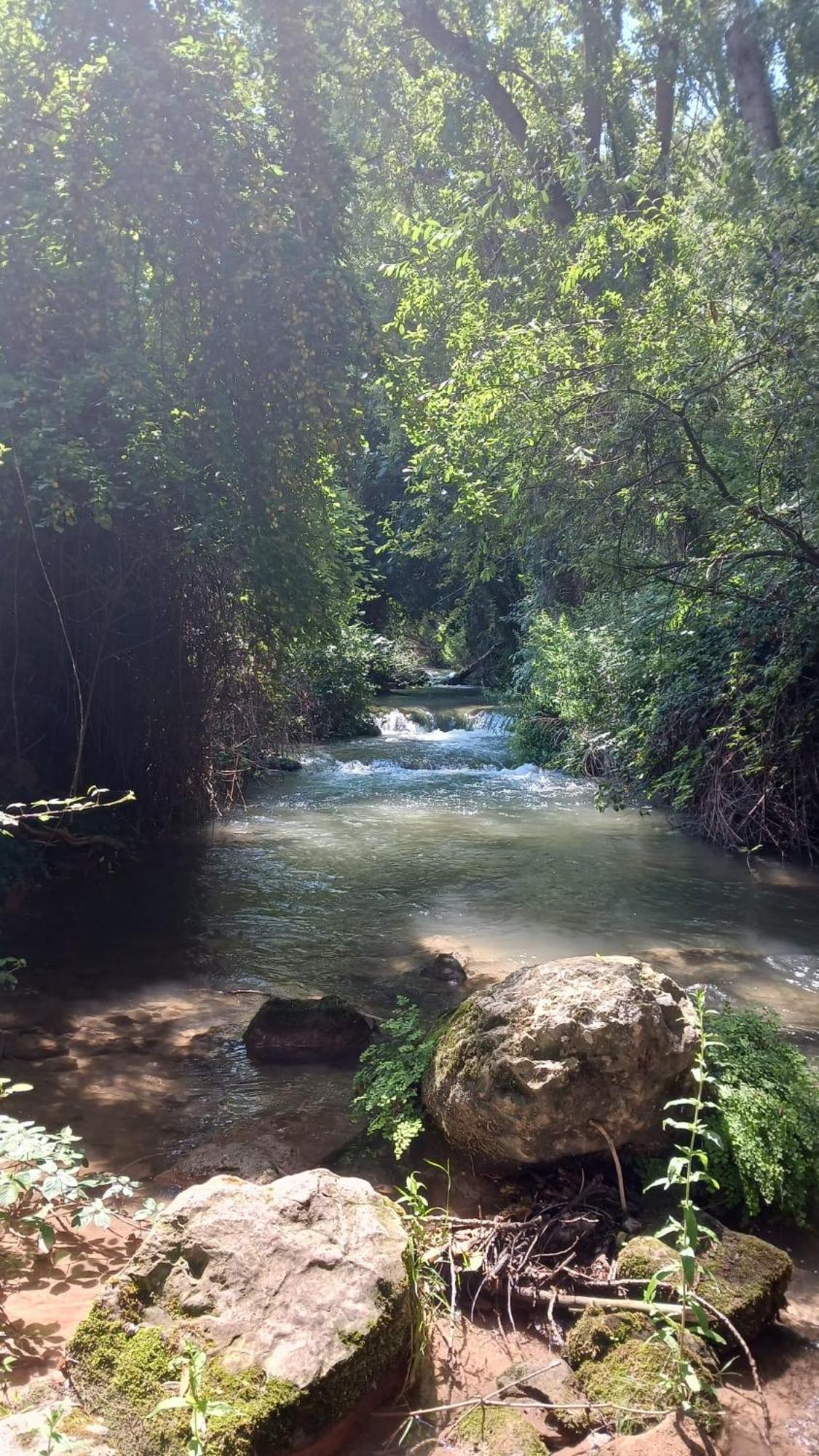 Casa Rural Casco Antiguo نويفالوس المظهر الخارجي الصورة